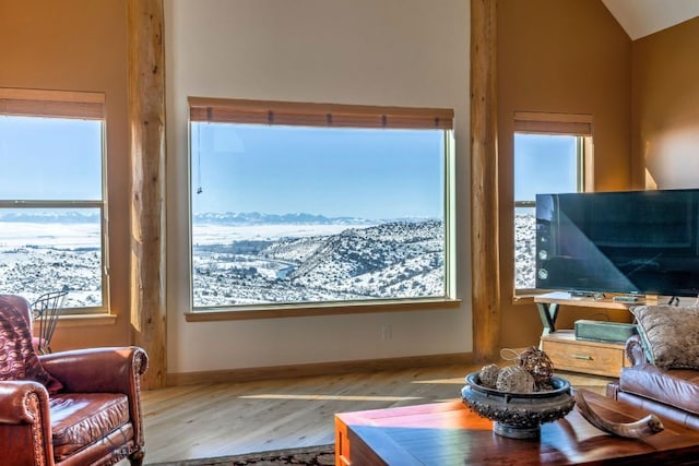 1061 Lookabout Ln, Manhattan, MT 59741 - living area with wood finished floors and vaulted ceiling