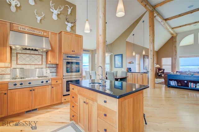 1061 Lookabout Ln, Manhattan, MT 59741 - kitchen with stainless steel appliances, extractor fan, high vaulted ceiling, a sink, and light wood finished floors