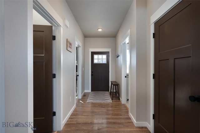 entryway featuring wood-type flooring