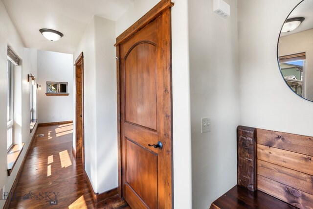 hall featuring dark hardwood / wood-style floors