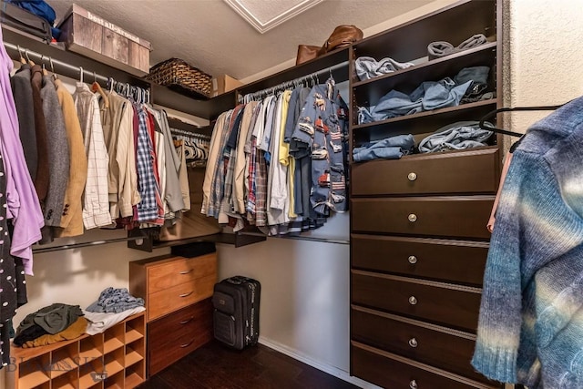 spacious closet featuring dark wood-type flooring