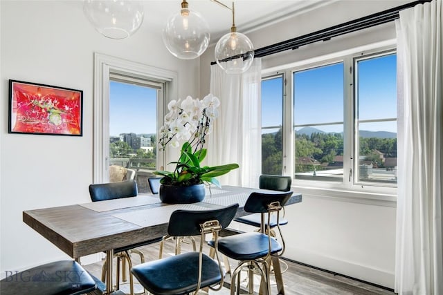 dining area featuring a wealth of natural light and light hardwood / wood-style flooring