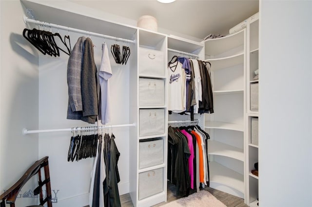 view of spacious closet