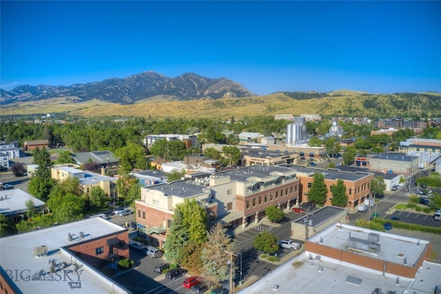 birds eye view of property featuring a mountain view