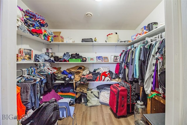 walk in closet with wood-type flooring