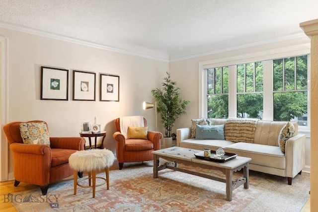 interior space featuring light wood-type flooring, a textured ceiling, and ornamental molding