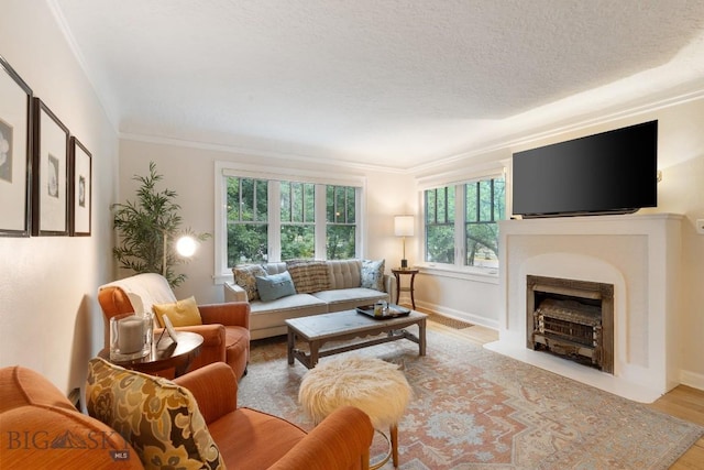 living room with a textured ceiling, light hardwood / wood-style flooring, and crown molding