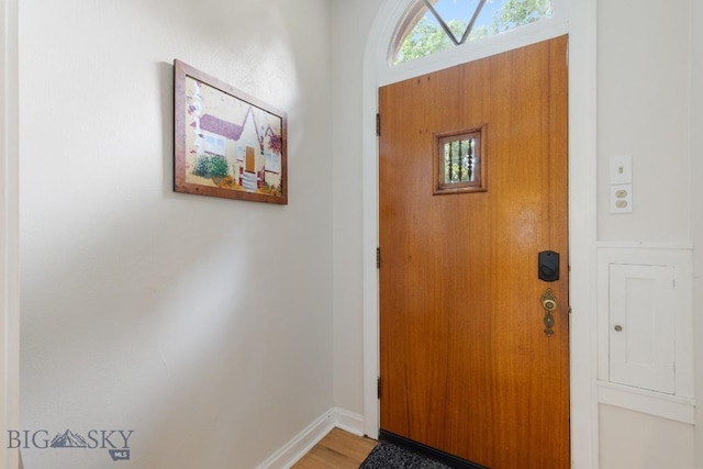 entryway featuring hardwood / wood-style flooring