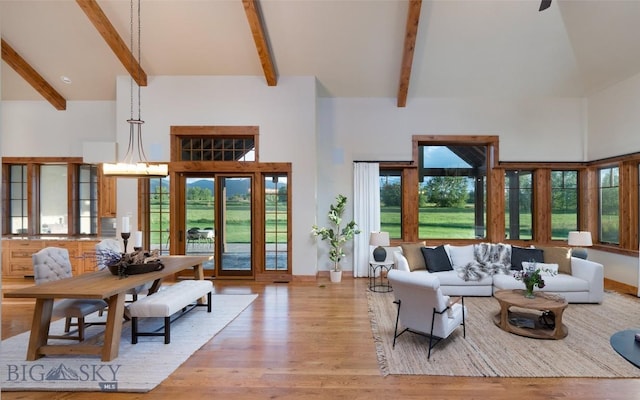 living area featuring a healthy amount of sunlight, light wood finished floors, and a high ceiling