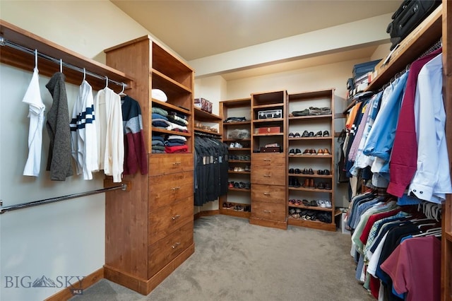 spacious closet featuring light carpet