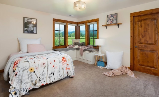 bedroom featuring carpet floors