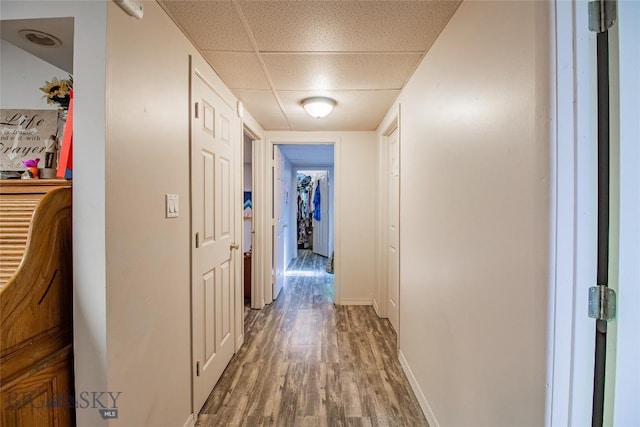 corridor with hardwood / wood-style flooring and a drop ceiling