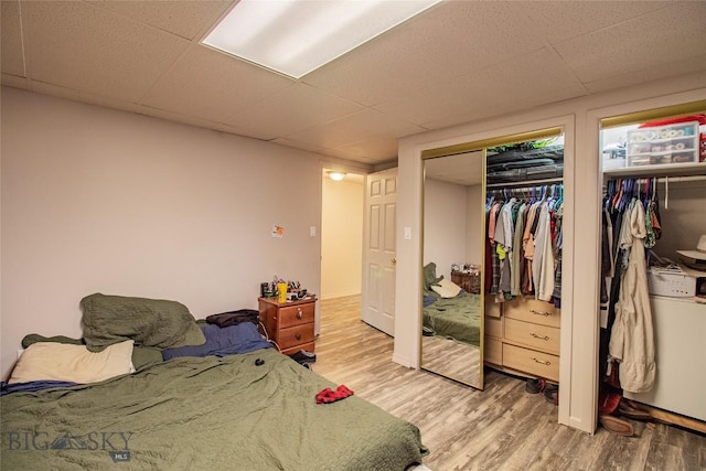 bedroom featuring hardwood / wood-style flooring and a drop ceiling