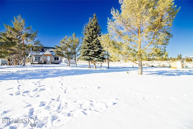 view of yard covered in snow