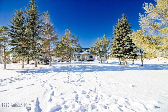 view of snowy yard