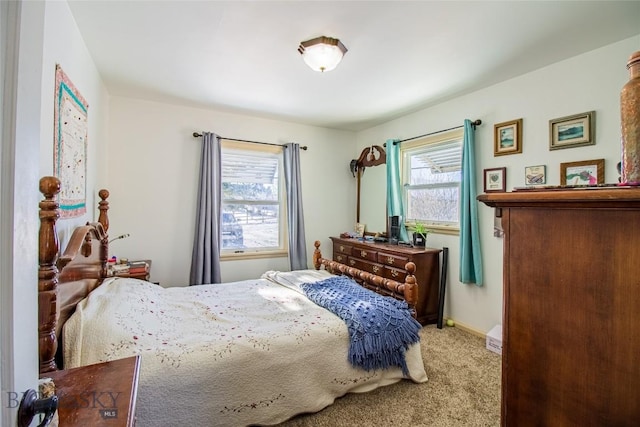 bedroom with carpet floors