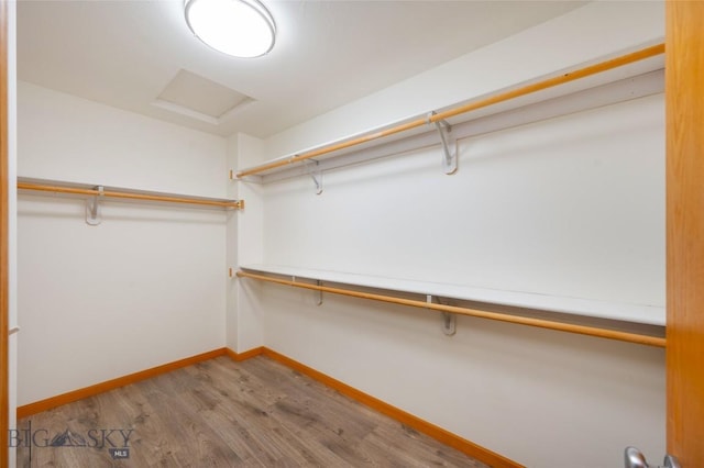 1121 Buckrake Ave, Bozeman, MT 59718 - walk in closet with attic access and wood finished floors