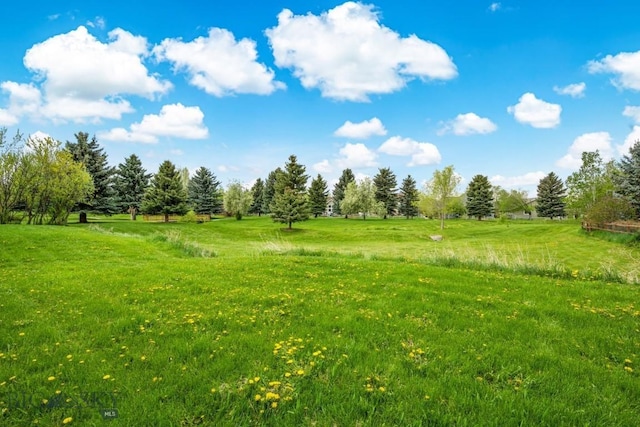 1121 Buckrake Ave, Bozeman, MT 59718 - view of undeveloped land with rural landscape