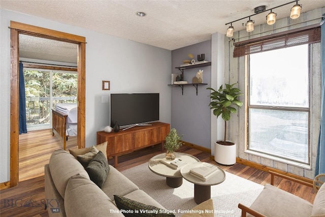 living room featuring hardwood / wood-style floors and a textured ceiling