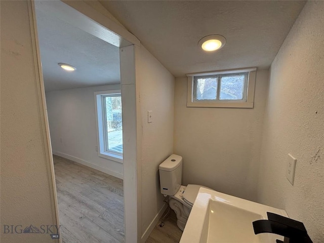 bathroom with wood-type flooring and toilet