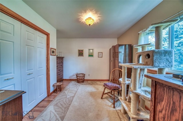 6360 W Dry Crk, Manhattan, MT 59741 - photo 21