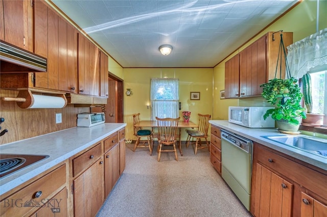 6360 W Dry Crk, Manhattan, MT 59741 - photo 8