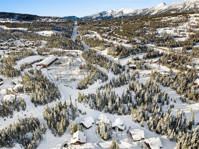 snowy aerial view featuring a mountain view