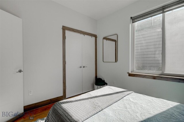 bedroom featuring multiple windows and a closet