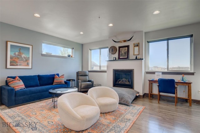 living room with hardwood / wood-style flooring