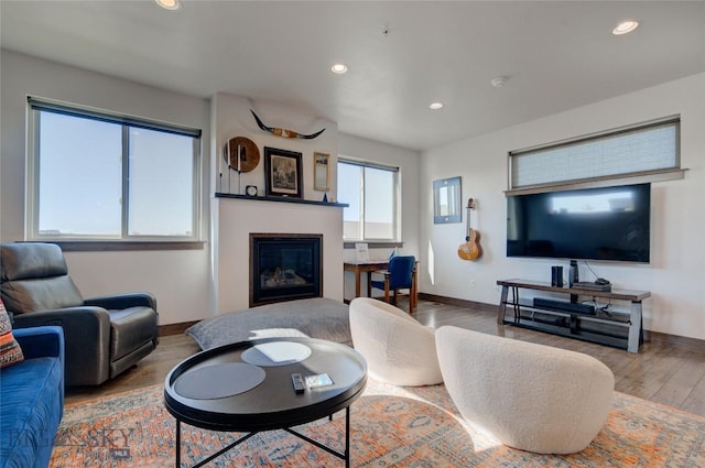 living room with wood-type flooring