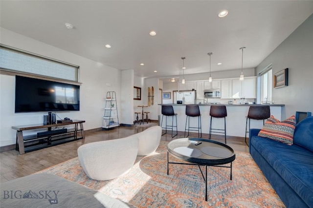 living room featuring hardwood / wood-style floors