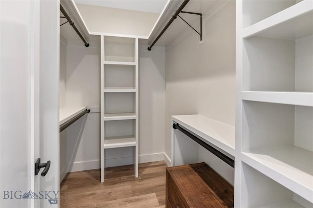 420 Sage Ave Unit B, Ennis, MT 59729 - spacious closet with light wood finished floors