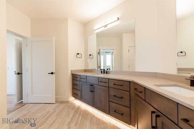 bathroom with hardwood / wood-style flooring and vanity