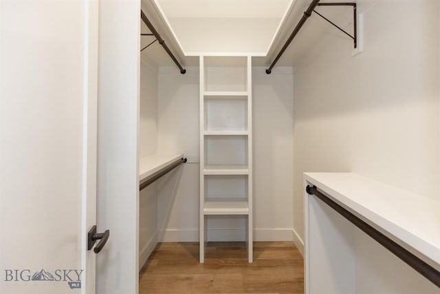 walk in closet featuring light hardwood / wood-style floors