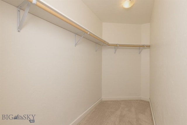 walk in closet featuring light colored carpet