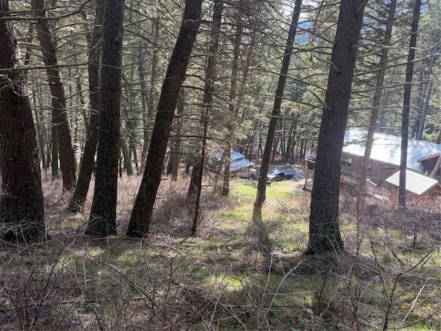 TBD Old Hellroaring Trail, Gallatin Gateway, MT 59730