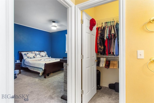 bedroom featuring a closet and light colored carpet