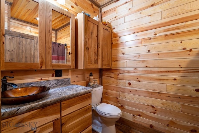 bathroom with wooden walls, vanity, and toilet