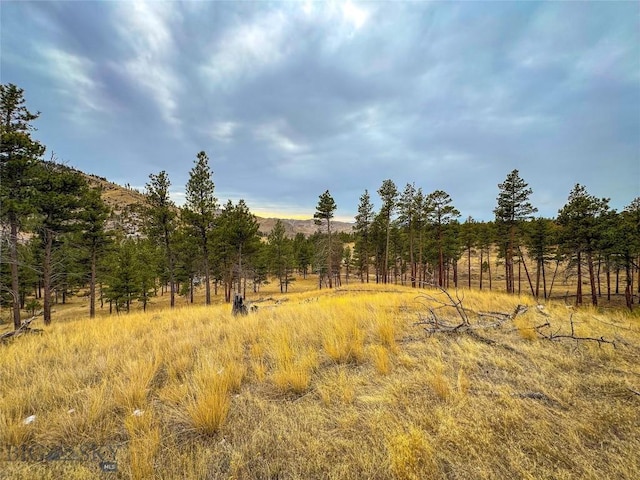 40ACRES American Bar Rd, Helena MT, 59602 land for sale