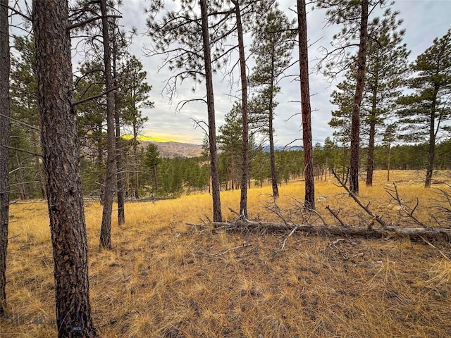 Listing photo 2 for 40ACRES American Bar Rd, Helena MT 59602