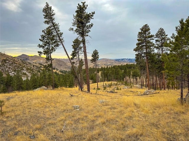 Listing photo 3 for 40ACRES American Bar Rd, Helena MT 59602