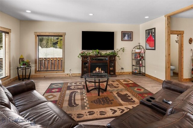 living room featuring light hardwood / wood-style floors