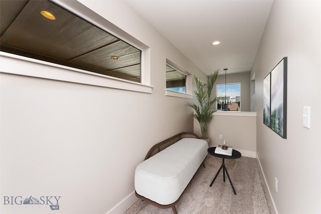 living area featuring carpet floors