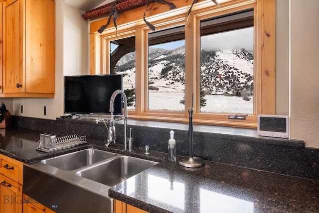 kitchen with dark stone counters and a sink