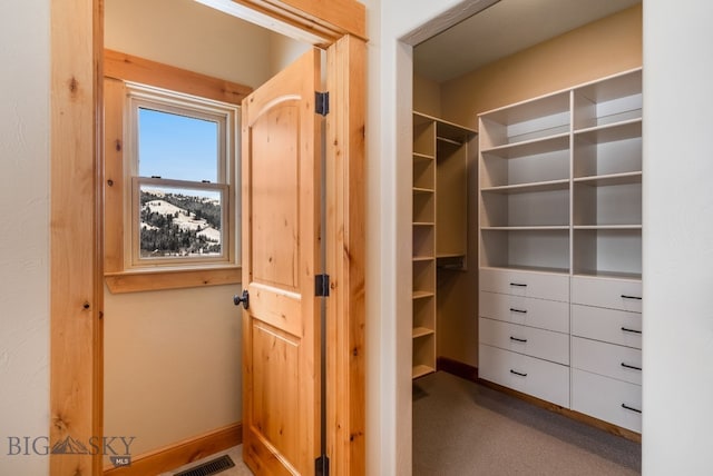 closet featuring visible vents