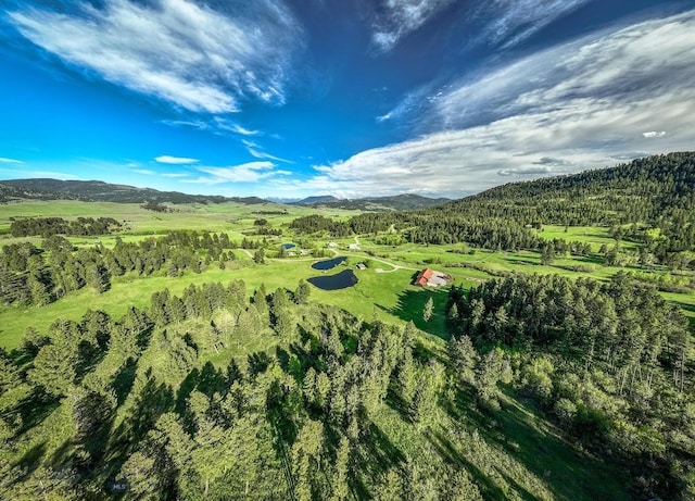 drone / aerial view featuring a mountain view