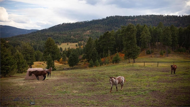 mountain view featuring a rural view