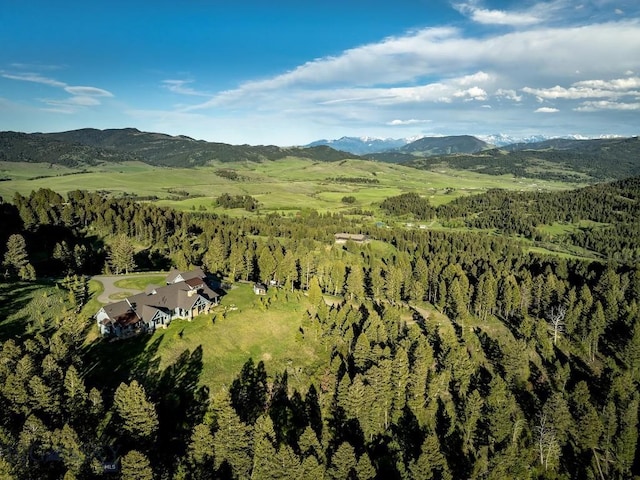 birds eye view of property with a mountain view