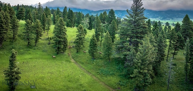 aerial view featuring a mountain view