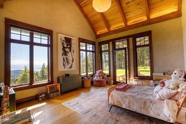 interior space with vaulted ceiling with beams and wooden ceiling